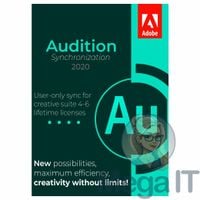 Synchronizacja Audition 2020 - Licencja Wieczysta (LifeTime) - Windows - Użytkownik Indywidualny - BOX (ESD)
