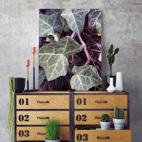 Deco Panel, Zielony bluszcz 40x60 na Arena.pl