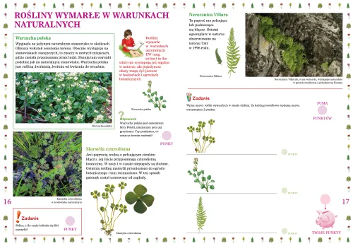 Rośliny chronione na Arena.pl