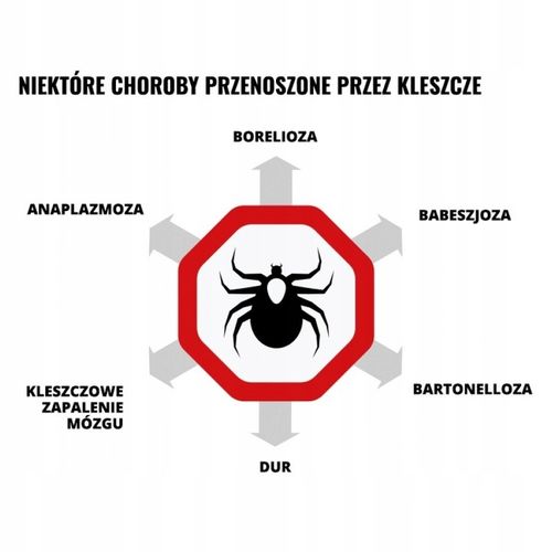 Mugga Strong spray 50% DEET 75 ml odstraszacz na komary i kleszcze ORYGINAŁ na Arena.pl