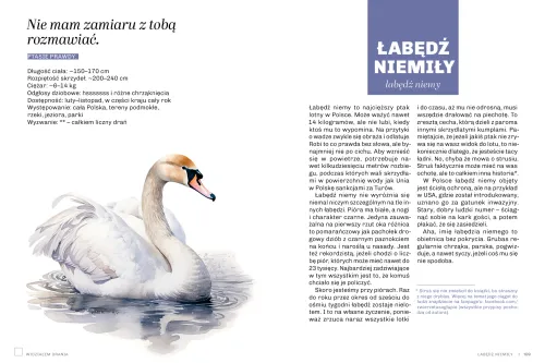 Głupie Ptaki Polski. Przewodnik Świadomego Obserwatora na Arena.pl