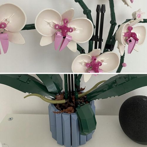 klocki 12390 flower storczyk 608el hs-6019 3906 na Arena.pl