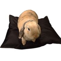 Wodoodporna poduszka legowisko kojec posłanie dla królika kota psa czarna