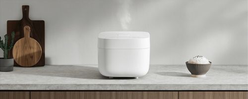 Ryżowar Xiaomi Smart Multifunctional Rice Cooker na Arena.pl