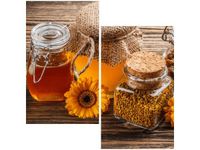 60X60CM MIÓD PSZCZELI DWU OBRAZ ŚCIAN