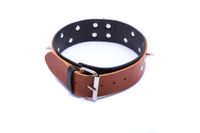 wiązania-whips obroża męska ze smyczą, koniakowa