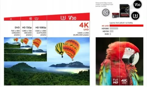 Karta micro SD SANDISK EXTREME 256GB 190/130 V30 na Arena.pl