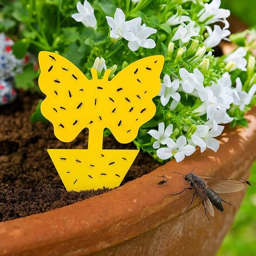 60 Lep na Ziemiórki Owady Żółte Lepy do Doniczek Taśma Domowa Meszki na Arena.pl