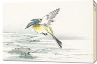 Obraz 90x60cm Eastern Grey Wagtail, Kashu Vintage do Salonu