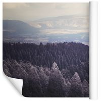 Fototapeta Las PEJZAŻ Natura Drzewa do Sypialni 300x210