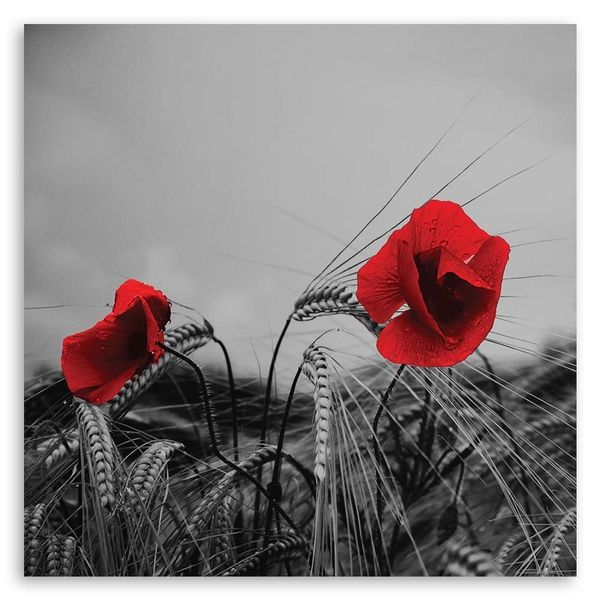 Emaga Obraz na płótnie, Czerwone maki i zboże - 60x60 zdjęcie 3