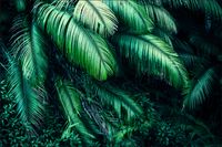 Tło fotograficzne Produktowe FLAT LAT Kulinarne