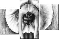 60 90CM OBRAZ 3 ELEM BALETNICA CZERNI BIELI ŚCIENNY DRUK PŁÓTNO