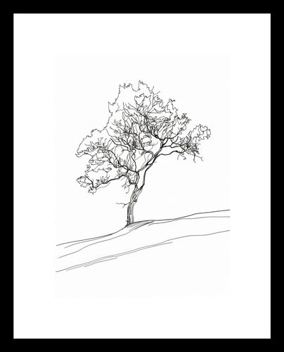 Plakat 13x18cm Drzewo w Zarysie na Arena.pl