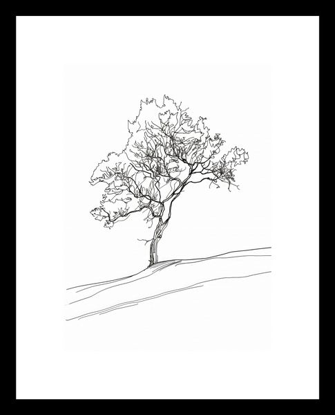Plakat 13x18cm Drzewo w Zarysie zdjęcie 3