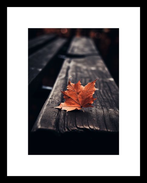 Plakat 13x18cm Pojedynczy Liść zdjęcie 3