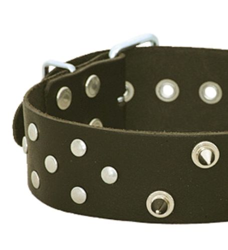 Obroża z kolcami i puklami na Arena.pl