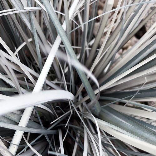 Deco Panel, Trawa dekoracyjna 40x60 na Arena.pl