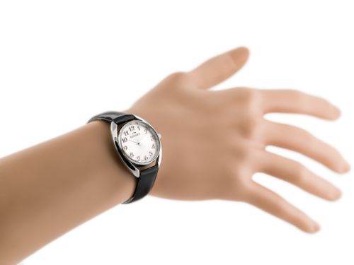 BISSET BSAE68 (zb555a) na Arena.pl