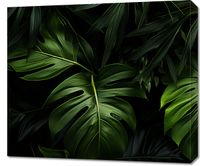 Obraz 70x60cm Zielony Szept