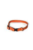 A-002 OBROŻA DLA PSA TAŚMA 13mm/21-36cm Kolor - Pomarańczowy