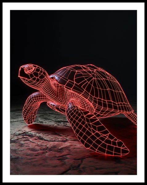 Plakat 50x65cm Neonowy Żółw zdjęcie 3