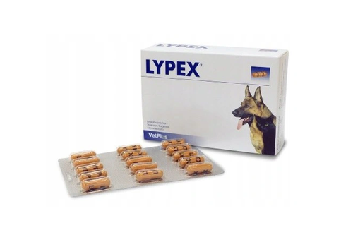 vetplus lypex 60 kapsułek na Arena.pl
