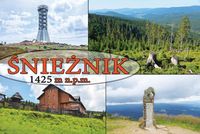 product-compare-52616010