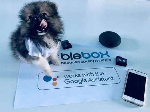 Sterownik Blebox WiFi na Arena.pl