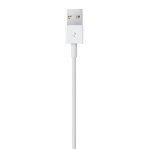 Apple Lightning to USB Cable (1m) Bulk na Arena.pl