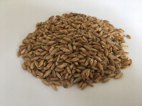 Pasza karma ziarna dla kur niosek bez GMO susz marchew pokrzywa NATURALNA na Arena.pl