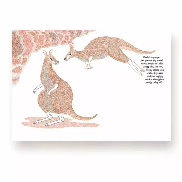 Narodziny zdjęcie 8