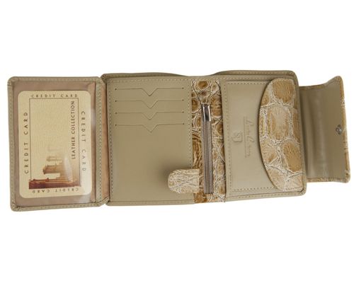 Portfel damski Patricia  - Stefania Beż na Arena.pl