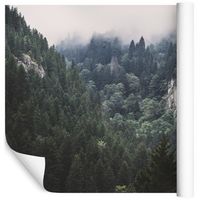Fototapeta Las Drzewa CHMURY Widoki do Sypialni 300x210