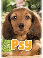 KALENDARZ B4 PSY 2026