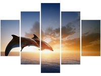 105CM 150CM OBRAZ 5 ELEM DELFINY DRUK