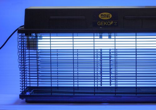 Lampa Rażąca GEKO 7298 Professional na Arena.pl
