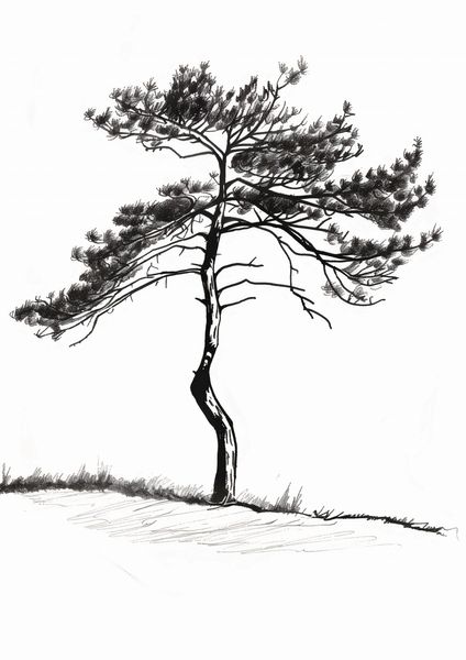 Plakat 21x29,7cm Samotna Sosna zdjęcie 1