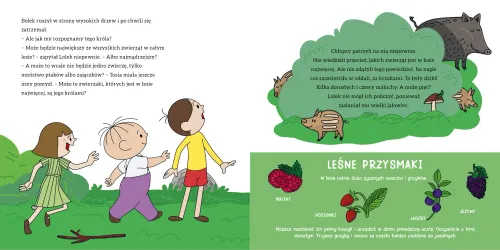 Wakacje z Bolkiem i Lolkiem na Arena.pl