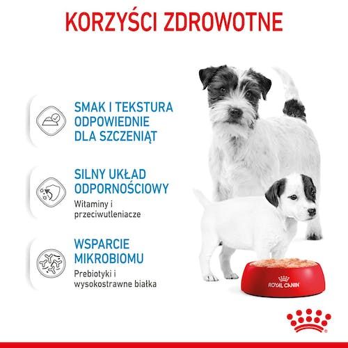 Royal Canin Starter Mother&Babydog Karma Mokra - Mus, Dla Suk W Czasie Ci na Arena.pl