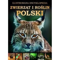 Ilustrowana Encyklopedia Zwierząt i Roślin Polski 608 stron