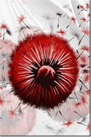 100 70CM OBRAZ PŁÓTNO CZERWONE DMUCHAWCE 6 PŁÓTNO RAMA