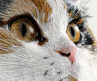 Plakat 60x50cm Nitkowany Kot