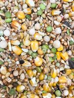 Karma dla gołębi Uniwersalna U Kampol 25kg