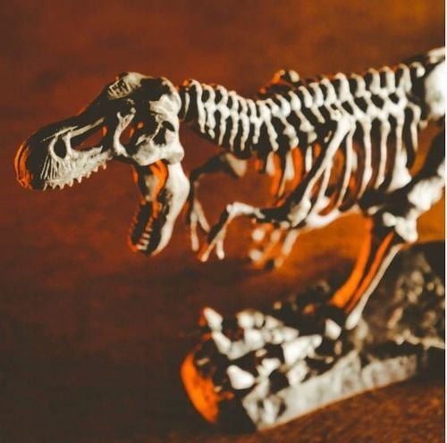 crazy science smoki i dinozaury 4141 na Arena.pl