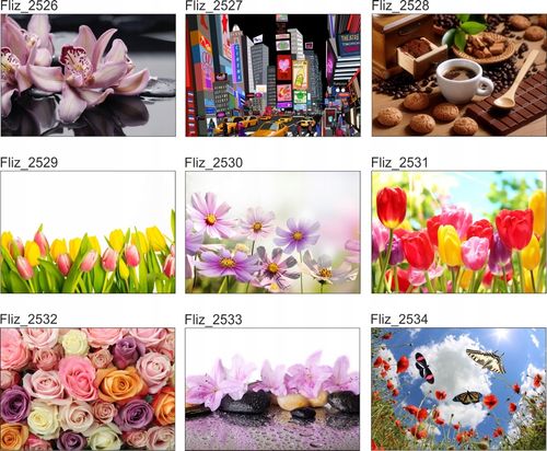 FOTOTAPETA NA WYMIAR KOLOROWE PASY na Arena.pl