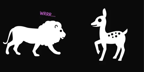 Książeczka Kontrastowa. Zwierzaki Z Zoo na Arena.pl