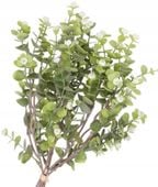 BUKIET BUKIECIK GAŁĄZKI BUKSZPANU SZTUCZNE KWIATY