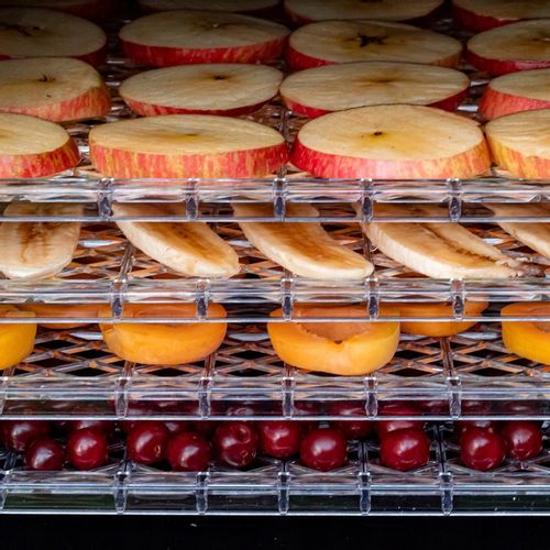 Suszarka Spożywcza PerfectDRY 450W Grzybów Owoców Warzyw Ziół Żywności na Arena.pl