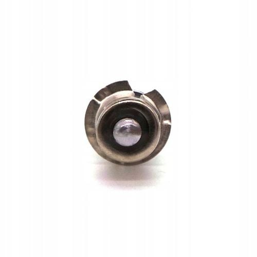 P13 LED żarówka LED PX13.5, P13.5s 6V do latarek na Arena.pl